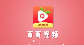 国产草莓视频下载app最新版,畅享国产草莓盛宴，解锁下载新体验
