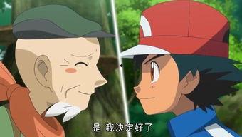 经典国产动画造型视频在线观看,重温经典，感受时光魅力