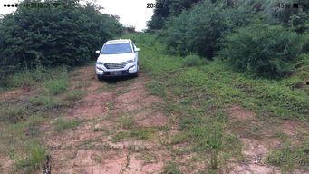 国产天龙山越野视频,国产SUV性能实测大揭秘