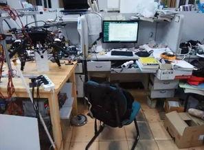 国产机器小狗视频